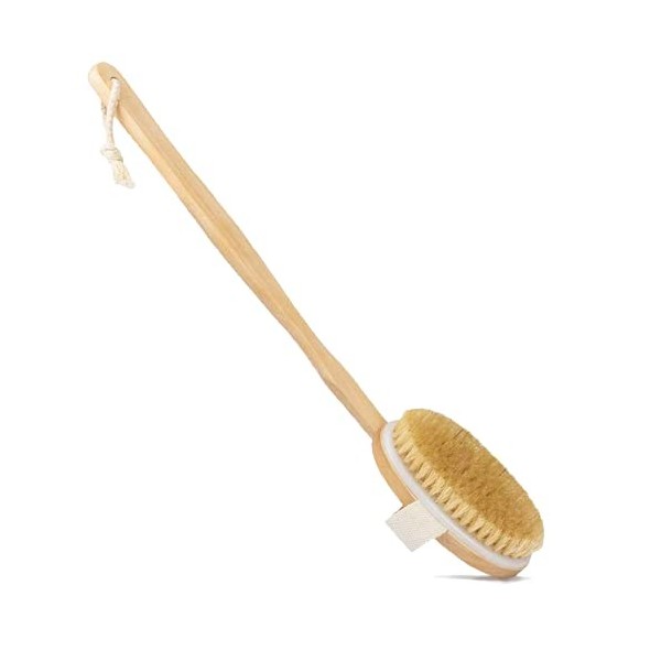 BAYINBROOK Brosse de bain,Brosse Pour Le Corps,Brosse de Massage,Bross de corps brosse de massage Améliore la circulation san