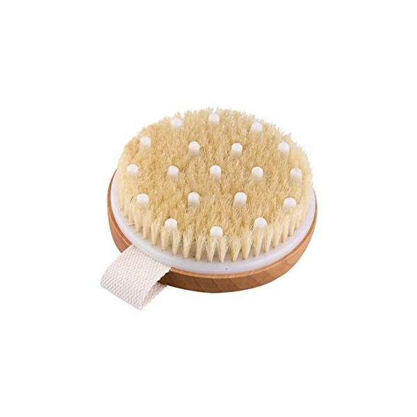 Brosse pour le corps La brosse exfoliante La brosse de bain à poils naturels pour éliminer les toxines cellulites de la peau 