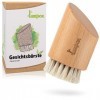 lampox® Brosse pour le visage - Brosse exfoliante - Poils naturels en crin de cheval - Bois de hêtre