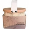 Stephanie Franck Beauty - Dry Brushing Body Brush - Brosse de Massage à sec - en Poils naturels et Bois de Hêtre FSC - pour l