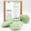 Eponge de Konjac bio exfoliante grâce aux brisures de coques de noix pour le corps | Lot de 2 éponges corps| Eponge végétale 