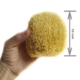 Kalyspongea® Éponge de mer 100 % Naturelle Bio Grande 12-13 cm de haute qualité résistante et durable exfoliante de bain pour