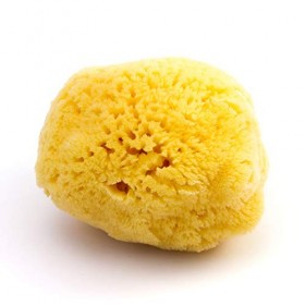 ZEPHYR® • Eponge Naturelle de Mer - Bain et douche pour le corps 12,5-13,5 cm - Grande éponge de bain végétale bébé, enfan