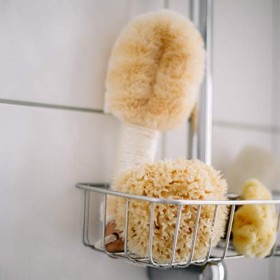 Croll & Denecke Naturschwamm M 120