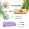 Eponge Konjac Lot de 4 Eponges – Visage et Corps – Accessoire Beauté Naturel Bain et Douche - Exfoliante & Nettoyante – Gre