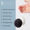 Beauty by Earth Lot de 2 éponges faciales Konjac - Charbon Noir & Blanc Naturel pour peaux sensibles à tendance grasse ou A