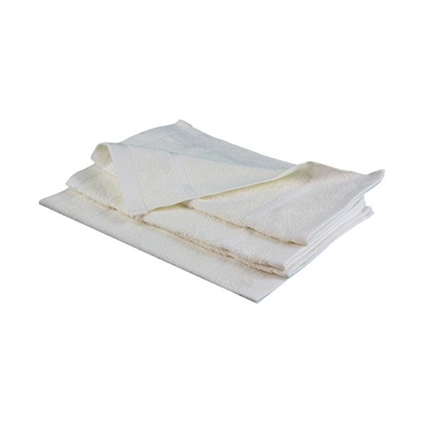 Gözze - Gant de Toilette, Lot de 4, Doux et absorbant, 100% Coton, 16 x 21 cm - Argenté