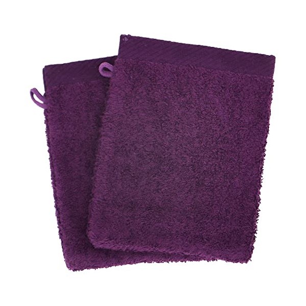 Lot de 2 Gants de Toilette 16x21 cm 100% Coton peigné Alba Violet