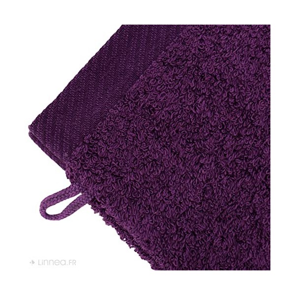 Lot de 2 Gants de Toilette 16x21 cm 100% Coton peigné Alba Violet