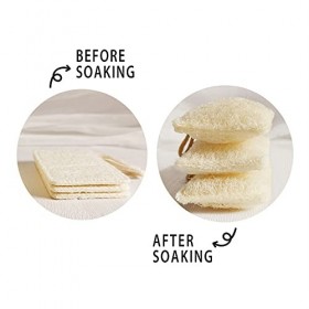 Épurateur déponges à Vaisselle en luffa Naturel Paquet de 6 , éponge de Nettoyage Anti-Rayures, éponge de luffa biodégradab