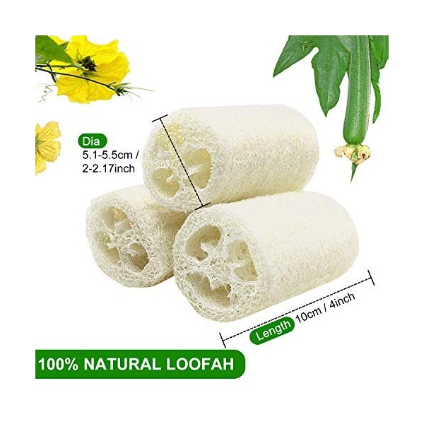 6 Pcs Loofah Naturel, Luffa Douche Eponge Spa Exfoliant Naturelle Éponges Body Scrubber pour le Bain, 10cm Length de Eponge L