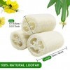 6 Pcs Loofah Naturel, Luffa Douche Eponge Spa Exfoliant Naturelle Éponges Body Scrubber pour le Bain, 10cm Length de Eponge L