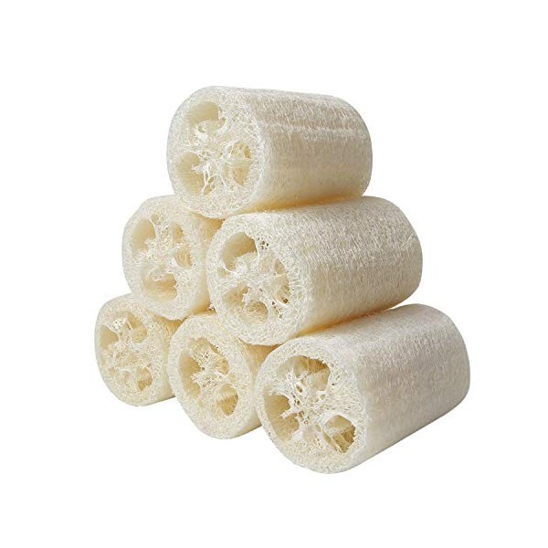 Lot de 6 éponges luffa naturelles de 10 cm pour enlever les peaux mortes - Pour le soin du corps, la salle de bain et la douc