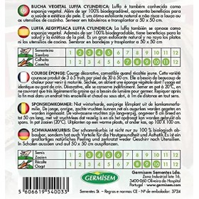 Courge Éponge Luffa