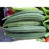 Generic 50 Seeds Luffa Acutangula, Ribbed Sponge Gourd, Angled Loofah, Okra: Only Seeds