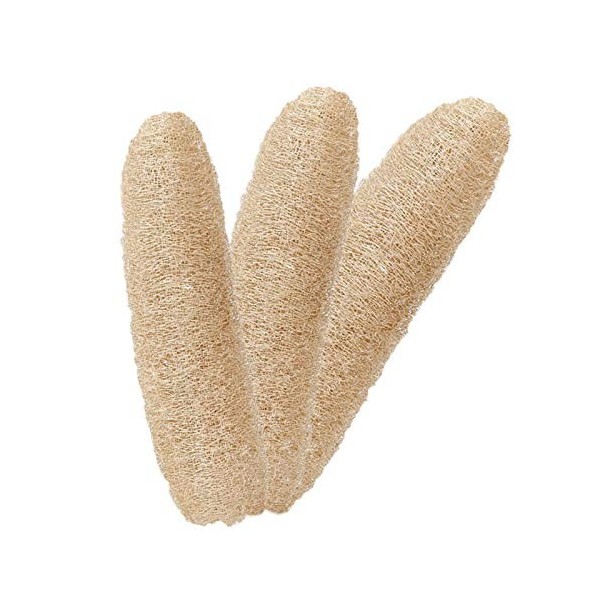 3 Pièces Loofah Naturel Entier Loofah, Brosse éponge Naturelle pour Le Corps, Luffa biodégradable exfoliant Naturel pour la C