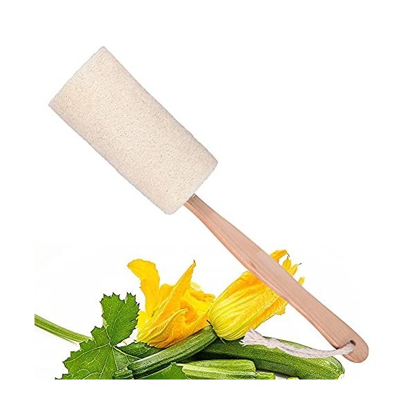 Brosse de Bain, Brosse pour le Corps - Eponge Luffa Brosse Dos Douche Long Manche en Bois, Brosse de Douche pour le Dos Epong