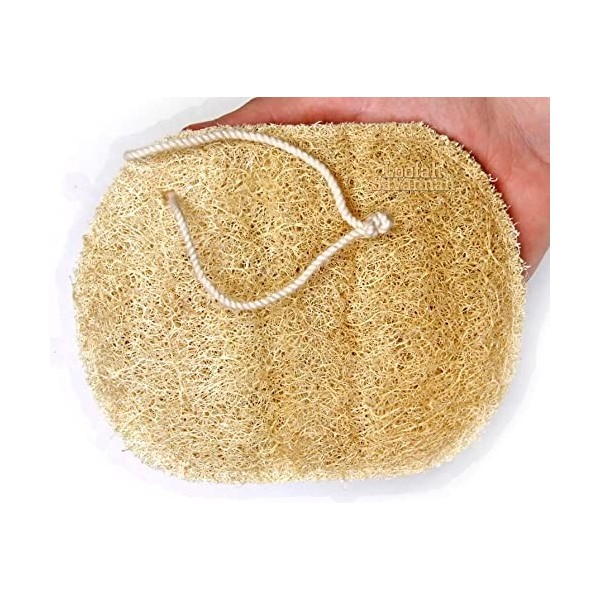 Loofah Savannah Champ Double face de douche Taille L