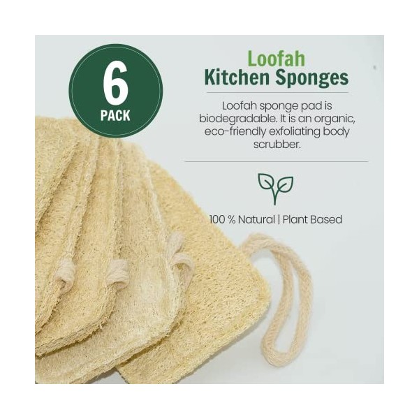 Éponge de cuisine naturelle Organic Loofah exfoliante en éponge de luffa, naturelle Sponge de cuisine, éponge, brosse de luxe