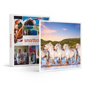 SMARTBOX - Coffret Cadeau Couple - Idée cadeau original : Weekend charme et gastronomie à la découverte des terroirs