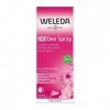 Weleda Déodorant Wild Rose, 100 ml