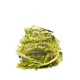 BINGOSPA Mousse de bain Mer Morte aux algues riches en minéraux pour les soins de la peau - 1l