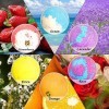 EYEPICK Boule de Bain Effervescent, 6pcs Bombes de Bain Coffret Cadeau, Coffret Bain bio de Aux Huiles Essentielles Naturelle