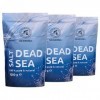 Sel de Mer Morte 3x1000g zipper - 100% Pur et Naturel - Idéal pour Bien Dormir - Soulagement du Stress - Bain - Beauté - Re