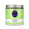 Absolute Aromas Sel de Bain Anti-Stress Epsom 575g - Sulfate de magnésium infusé dhuiles essentielles pures à 100% - Huiles 