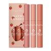 3Pcs kit de Rouge à Lèvres, Femme Rouge à Lèvres Glossy Lipstick Gloss à Lèvres Maquillage Femme Cosmétique Set Brillant roug