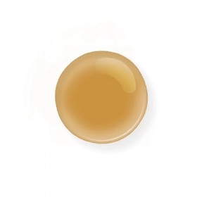 Prija Shampoo Shampooing Douche Gel Douche Ginseng 4x 380 ml + 4x Gel Pump testé dermatologiquement Minimiser les allergies s