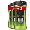 AXE Gel Douche 3en1 Lendemain Difficile, Boost dénergie, Parfum aux agrumes, 250ml - Lot de 3