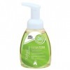 Mousse lavante Refresh Energie Foam. flacon de 250 ml