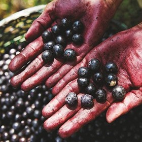 NATURA - Huile de Douche Triphasée Ekos Açai - Hydrate et Protège la Peau - Procure Bien-Être et Détente - Offre une Peau Dou