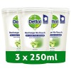 DETTOL - Recharge Pour Kit No-Touch - Gel Lavant Mains - Aloe Vera & Vitamine E - 250 ml - 3 Recharges