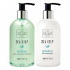 Scottish Fine Soaps Sea Kelp Hand Wash & Hand Lotion Care Set