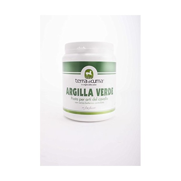 Terre di Cuma Argile Vert Pâte - 1 kg