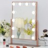 FENCHILIN Lighted Makeup Mirror Hollywood Mirror Vanity Makeup Mirror with Light Smart Touch Control 3Colors Dimable Light.
