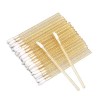 G2PLUS 100PCS Pinceaux Lèvre Jetables Lèvres Pinceaux,Applicateur Batonnet Brosse à Lèvres Jetable Applicateur Levre Lip Brus