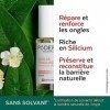 PODERM - ONGLES ABIMÉS & FRAGILISÉS SILICIUM BIO | Aux plantes exceptionnelles puissantes réparatrices et fortifiantes | Soin