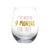 Pearhead I’ve Waited 9 Months for This Stemless Wine Glass, New Mom Mother’s Day Accessory, Expecting Mother Keepsake, Pink a