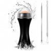 TCASENER Oil-Absorbing Roller, volcanique absorbante et matifiante pour le Visage plus 2 Acné Aiguille Outil, Roller Masseur 