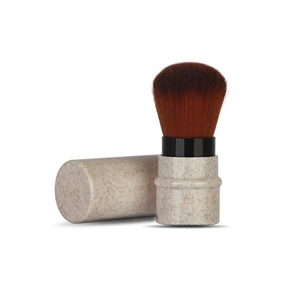 Pinceau de Maquillage à Tête de Champignon pour Fard à Joues, Poudre, Fond de Teint, Cache-cernes Beauté Maquillage Brosse Co