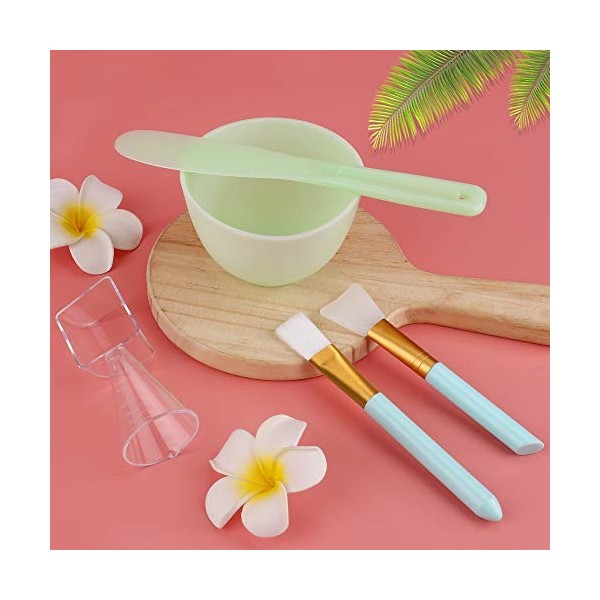 Masque mélanger Bol Facial DIY Soins du Visage Outils kit 5 In 1 Brosse Bâton Spatule Cuillière Pour Soins de La Peau Cosméti