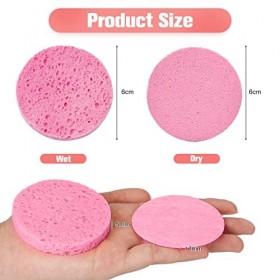 ZOCONE Lot de 70 éponges pour le visage pour le nettoyage et lexfoliation, 60 mm en pâte de bois naturel,Éponges pour le vis