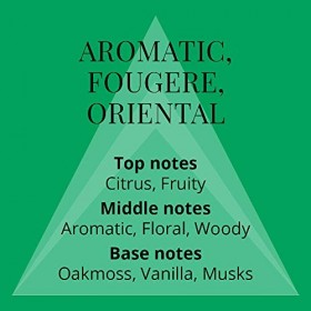 Perfumers Choice No9 Victor 150ml body spray