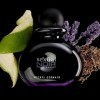 Michel Germain Sexual Noir Pour Homme - Woody Cologne for Men - Notes of Bergamot, Lavender and Moss - Infused with Natural O