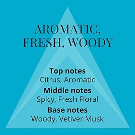 Colour Me Abstract Art - Fragrance for Men - 150ml Body Spray, by Milton-Lloyd