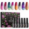 ROSALIND Vernis Semi Permanent Cameleon, Rose Brun Brillant Bleu Couleurs 5ml Vernis à Ongles Nail Gel Polish UV LED Soak Off