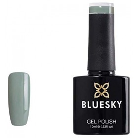 Bluesky Collection Automne Hiver Automne Automne - Choisissez votre vernis gel à ongles dans la collection Vernis à ongles ge